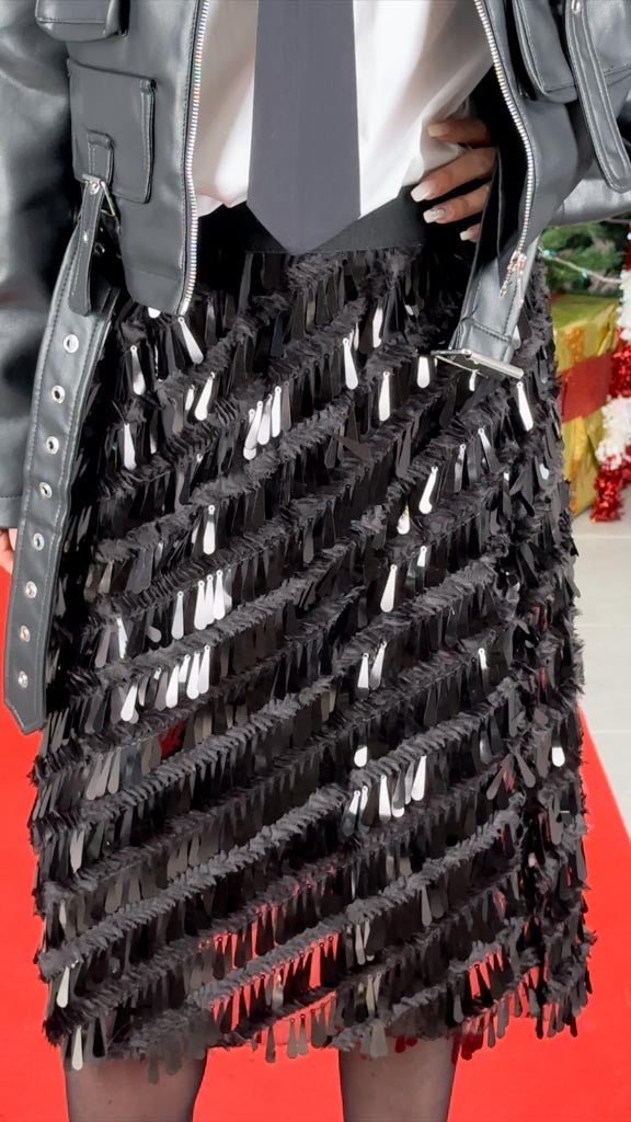 Image of The PACO skirt