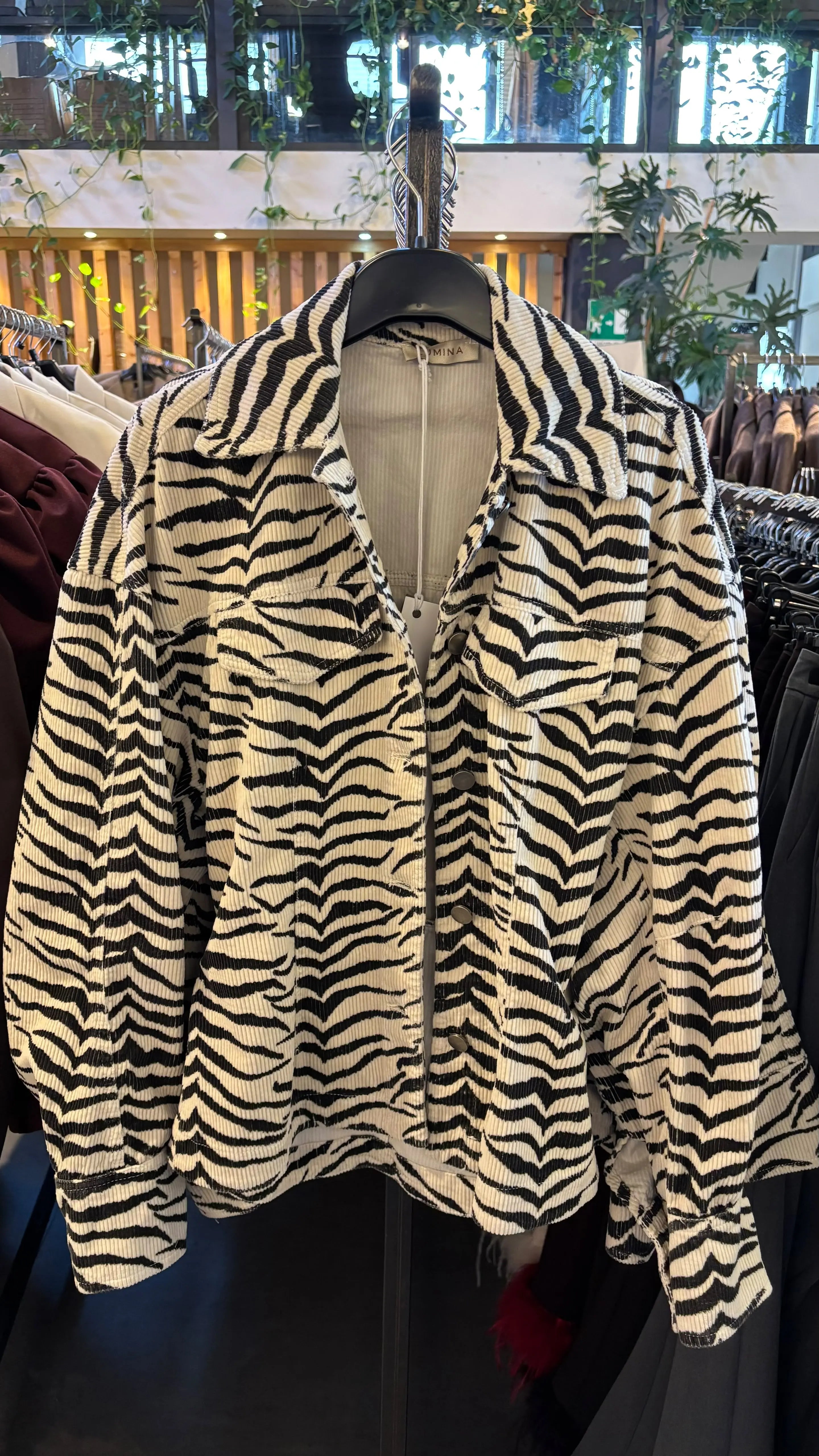 Image of Article LIVE 305 - Veste Kenya Les Folies d'Alex